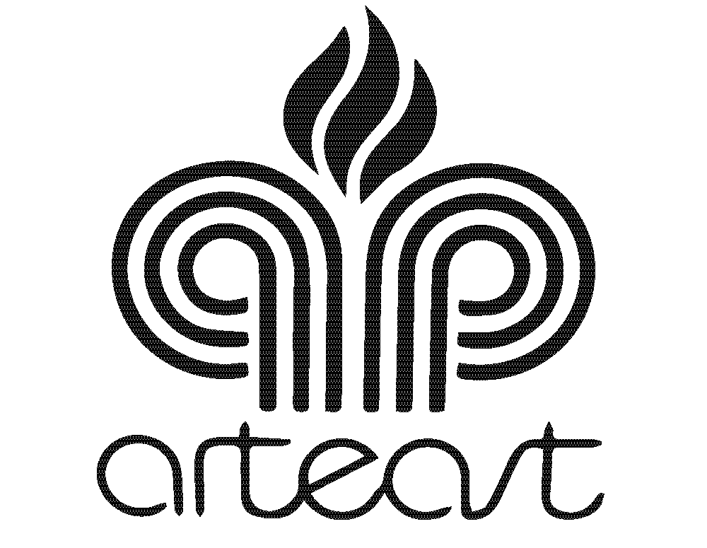 Arteast Ottawa is a highly active not-for-profit visual arts organization in Eastern Ontario.